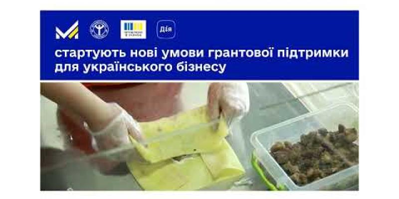 Вбудована мініатюра для Скористайтеся оновленою державною грантовою програмою «Власна справа 2.0»!