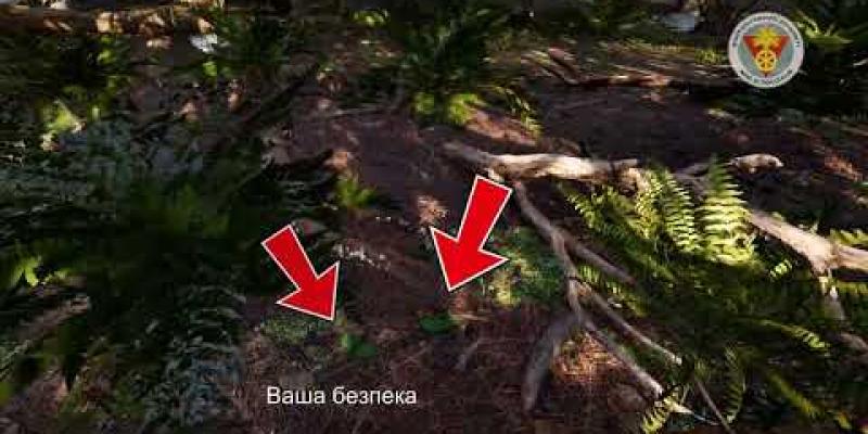 Вбудована мініатюра для Відвідування лісів є екстремально небезпечним внаслідок забруднення вибухонебезпечними предметами